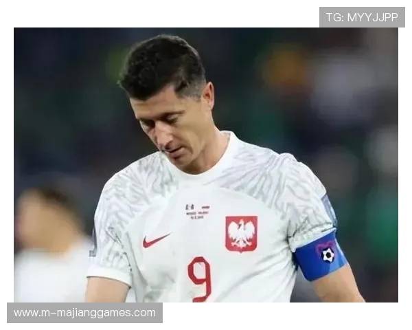 欧足联纪律委员会将对附加赛期间违规行为进行听证 欧足联纪律委员会将对附加赛期间违规行为进行听证